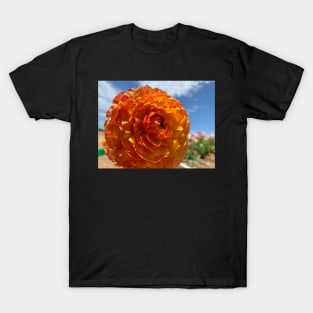 Blooming radiance T-Shirt